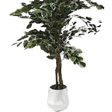 Pianta artificiale Ficus variegato 120h 768 foglie con vaso