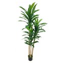 Pianta artificiale Dracena 180H 81 foglie con vaso